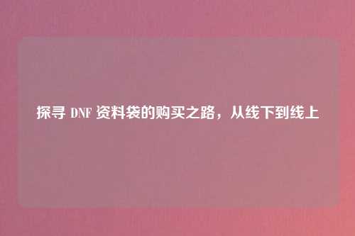 探寻 DNF 资料袋的购买之路，从线下到线上