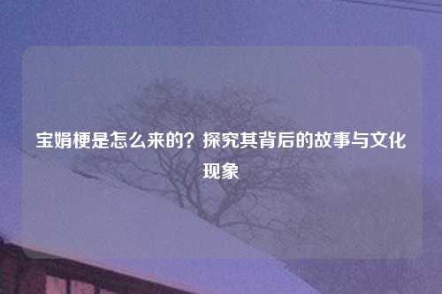 宝娟梗是怎么来的？探究其背后的故事与文化现象