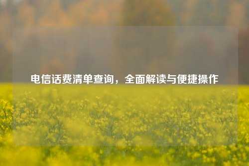 电信话费清单查询，全面解读与便捷操作