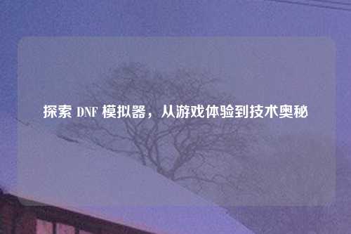 探索 DNF 模拟器，从游戏体验到技术奥秘