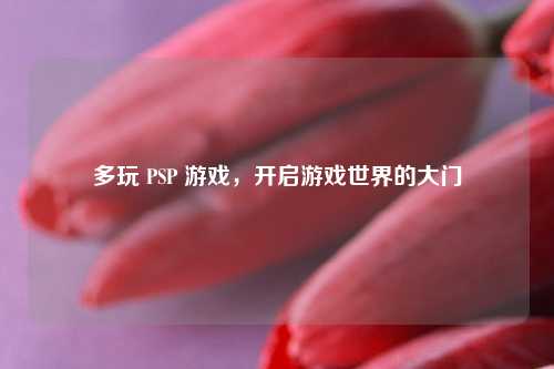 多玩 PSP 游戏，开启游戏世界的大门