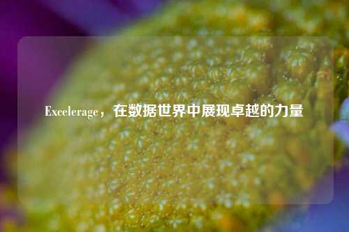 Excelerage，在数据世界中展现卓越的力量