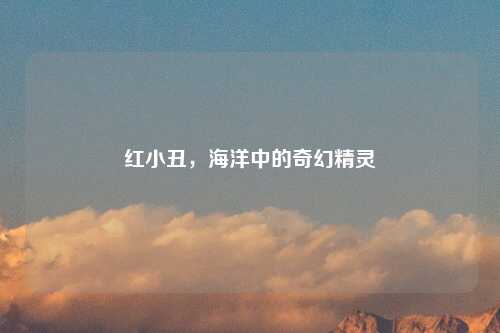 红小丑，海洋中的奇幻精灵