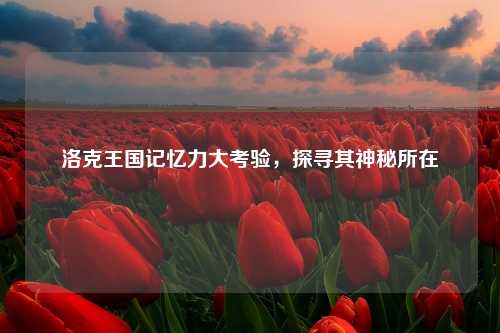 洛克王国记忆力大考验，探寻其神秘所在
