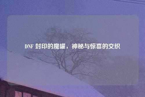 DNF 封印的魔罐，神秘与惊喜的交织