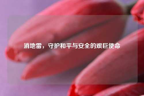 消地雷，守护和平与安全的艰巨使命