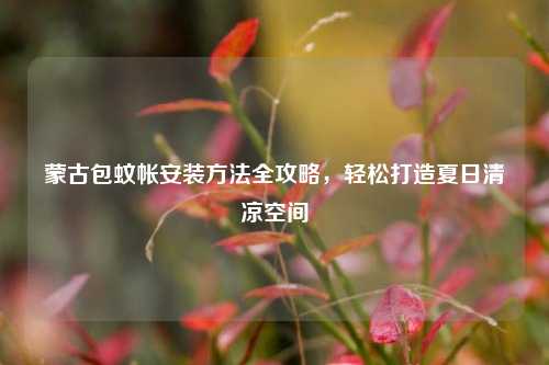 蒙古包蚊帐安装方法全攻略，轻松打造夏日清凉空间