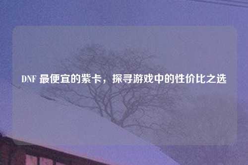 DNF 最便宜的紫卡，探寻游戏中的性价比之选