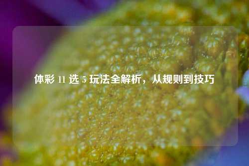 体彩 11 选 5 玩法全解析，从规则到技巧
