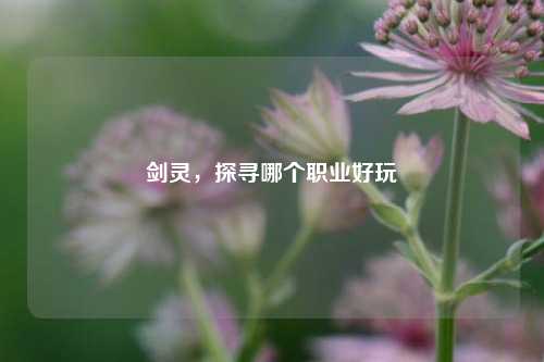 剑灵，探寻哪个职业好玩
