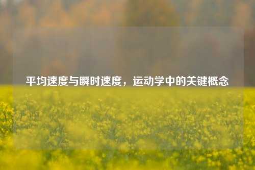 平均速度与瞬时速度，运动学中的关键概念