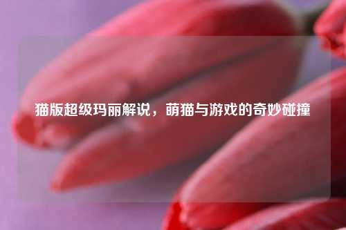 猫版超级玛丽解说，萌猫与游戏的奇妙碰撞