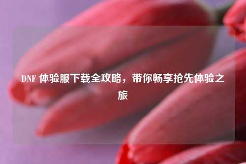 DNF 体验服下载全攻略，带你畅享抢先体验之旅