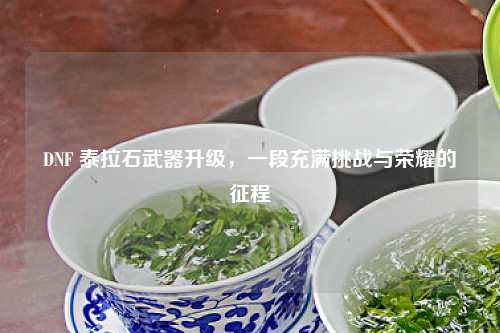 DNF 泰拉石武器升级，一段充满挑战与荣耀的征程