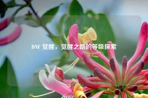 DNF 觉醒，觉醒之路的等级探索