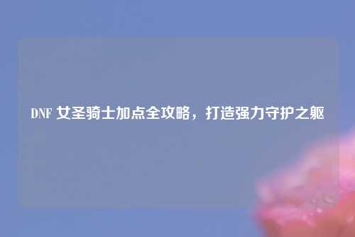 DNF 女圣骑士加点全攻略，打造强力守护之躯