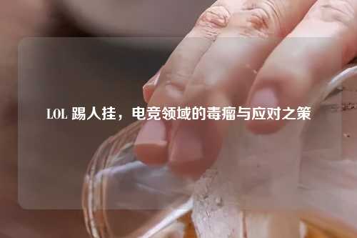 LOL 踢人挂，电竞领域的毒瘤与应对之策