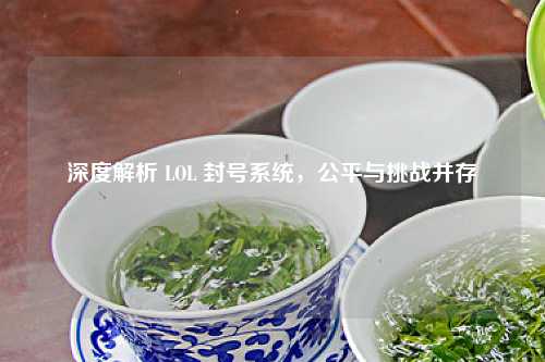 深度解析 LOL 封号系统，公平与挑战并存