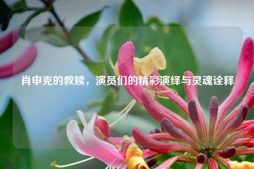 肖申克的救赎，演员们的精彩演绎与灵魂诠释