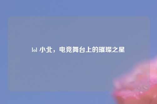 lol 小北，电竞舞台上的璀璨之星