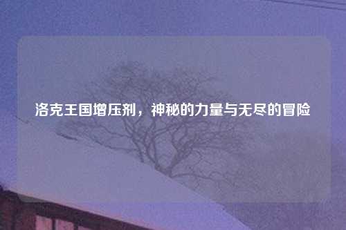 洛克王国增压剂，神秘的力量与无尽的冒险