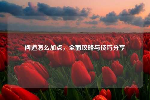 问道怎么加点，全面攻略与技巧分享