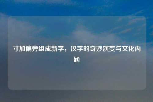 寸加偏旁组成新字，汉字的奇妙演变与文化内涵