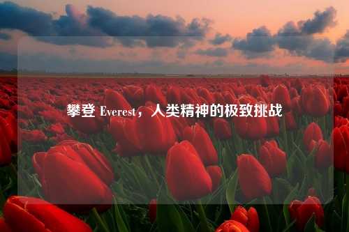 攀登 Everest，人类精神的极致挑战