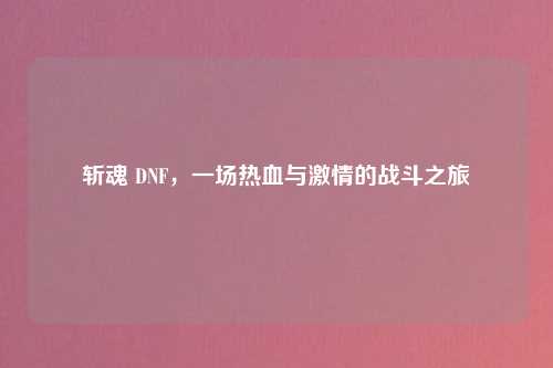 斩魂 DNF，一场热血与激情的战斗之旅