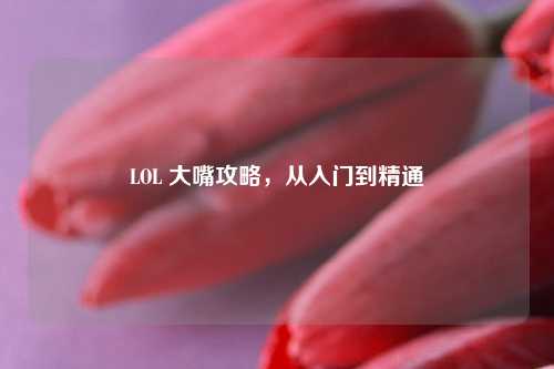 LOL 大嘴攻略，从入门到精通