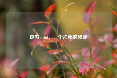 探索uulol，一个神秘的领域