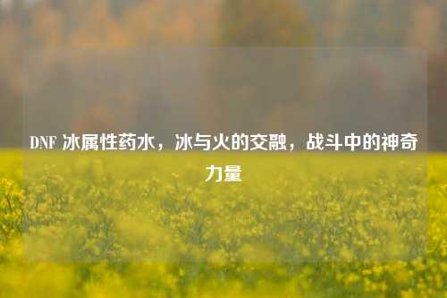 DNF 冰属性药水，冰与火的交融，战斗中的神奇力量
