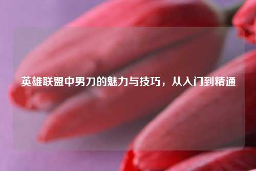 英雄联盟中男刀的魅力与技巧，从入门到精通