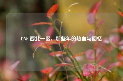DNF 西北一区，那些年的热血与回忆