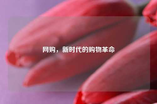 网购，新时代的购物革命