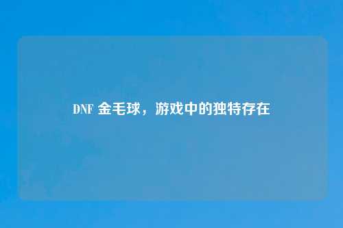 DNF 金毛球，游戏中的独特存在