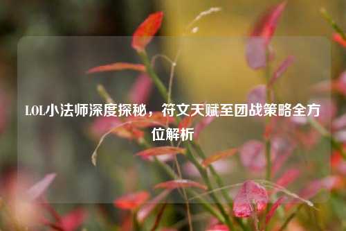 LOL小法师深度探秘，符文天赋至团战策略全方位解析